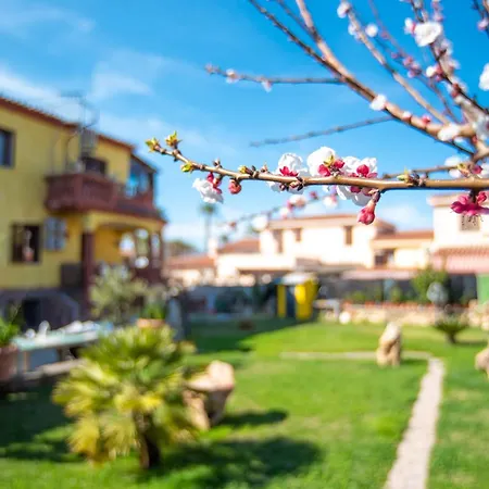 Casa Francesco San Teodoro (Sardinia)